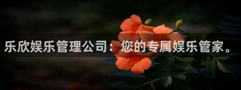 伟德国际19462代理注册：乐欣娱乐管理公司：您的专属娱乐管家。