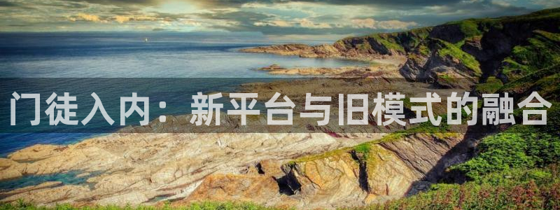 福建伟德国际1946机电股份公司：门徒入内：新平台与旧模式的融合