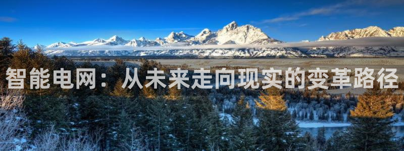 伟德国际19464平台注册：智能电网：从未来走向现实的变革路径