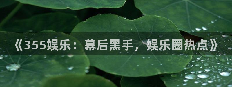 伟德国际1946代理注册官网入口：《355娱乐：幕后黑手，娱乐圈热点》