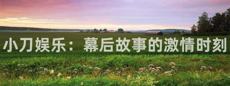 伟德国际1946体育热门赛事有哪些：小刀娱乐：幕后故事的激情时刻