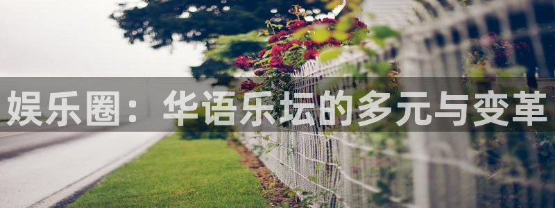 伟德国际1946集团：娱乐圈：华语乐坛的多元与变革