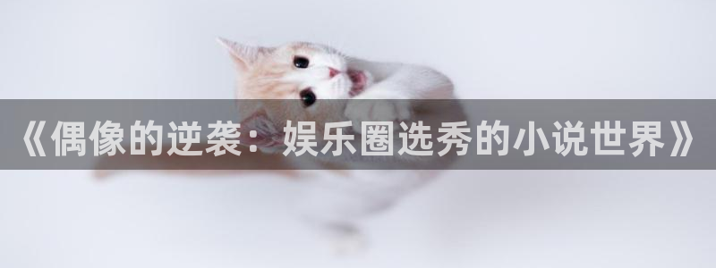 伟德国际1946招商：《偶像的逆袭：娱乐圈选秀的小说世界》