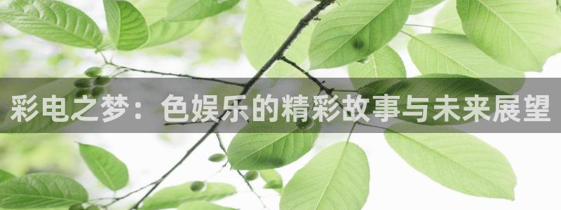 伟德国际1946体育app下载：彩电之梦：色娱乐的精彩故事与未来展望