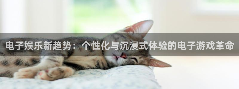 伟德国际19463官网