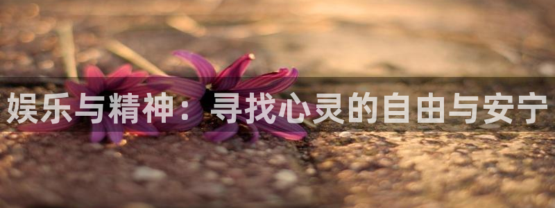 伟德国际1946f平台注册：娱乐与精神：寻找心灵的自由与安宁