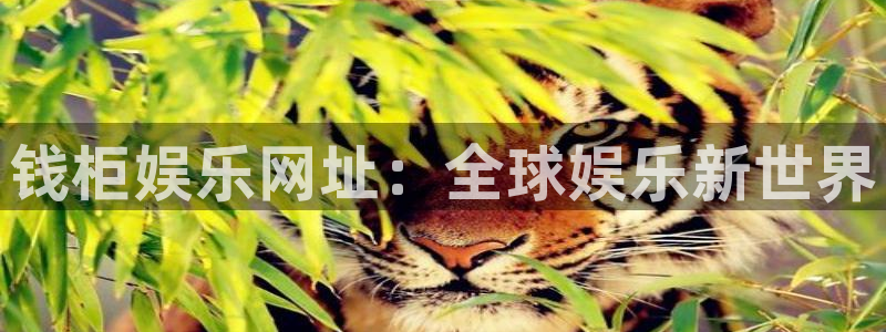 伟德国际1946平台在线开户：钱柜娱乐网址：全球娱乐新世界