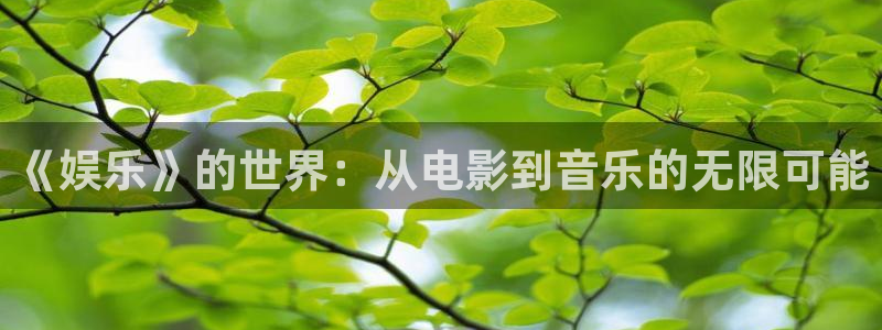 伟德国际1946平台注册：《娱乐》的世界：从电影到音乐的无限可能