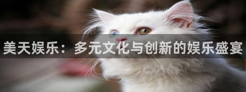 伟德国际19464平台注册：美天娱乐：多元文化与创新的娱乐盛宴