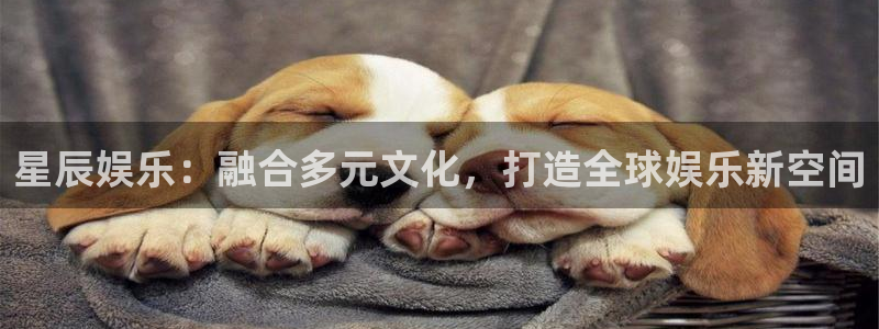 伟德国际1946体育网页版入口：星辰娱乐：融合多元文化，打造全球娱乐新空间