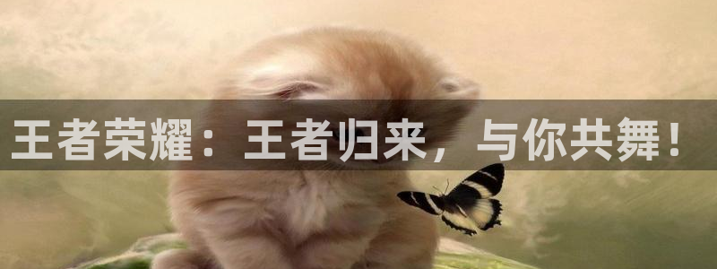 伟德国际1946平台：王者荣耀：王者归来，与你共舞！