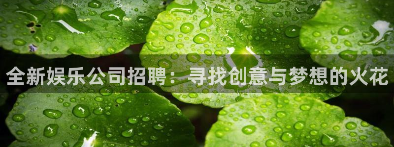 伟德国际19463：全新娱乐公司招聘：寻找创意与梦想的火花