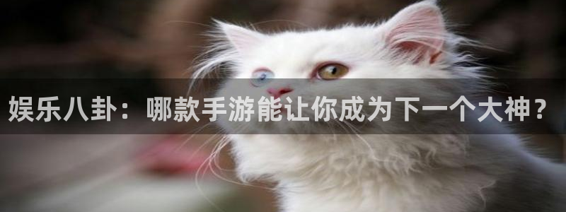 伟德国际1946体育平台开号链接：娱乐八卦：哪款手游能让你成为下一个大神？