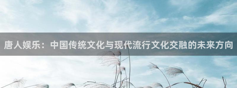 伟德国际1946集团：唐人娱乐：中国传统文化与现代流行文化交融的未来方向