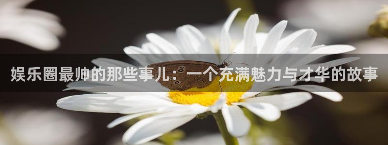 伟德国际19463官网：娱乐圈最帅的那些事儿：一个充满魅力与才华的故事