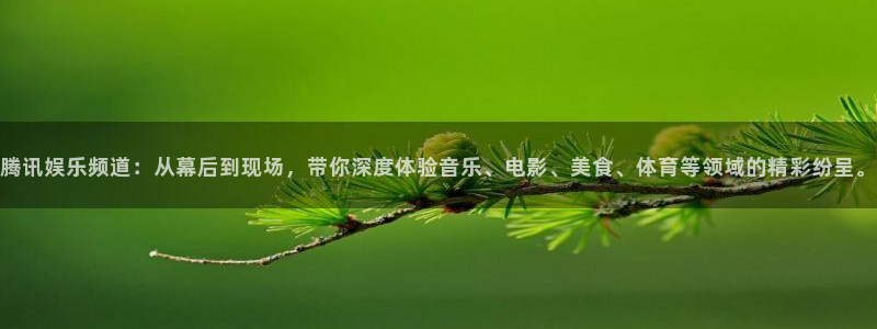 伟德国际19462平台注册：腾讯娱乐频道：从幕后到现场，带你深度体验音乐、电影、美食、体育等领域的精彩纷呈。