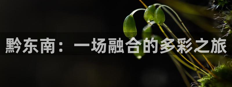 伟德国际1946体育3：黔东南：一场融合的多彩之旅