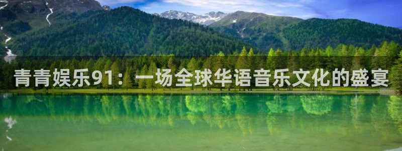佛山市南海伟德国际1946机电仪器有限公司：青青娱乐91：一场全球华语音乐文化的盛宴