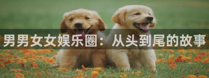 伟德国际1946体育代理